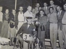 That’s my grandfather Captain Tony third guy from the right at the Key West kennel club that’s a nice way of saying the race track a lot of mob guys would buy horses my grandfather invested in really fast running in greyhound dogs like them or three right here That’s how my grandfather really bought the original Hemingway bar and back in the mid-70s he pretty much spent every night at the track and if he wasn’t there he was having high stake card games Above his bar this is why I got to work for him for seven years he lived a life as a Playboy while he was married four times and 13 kids I miss that old.pirate